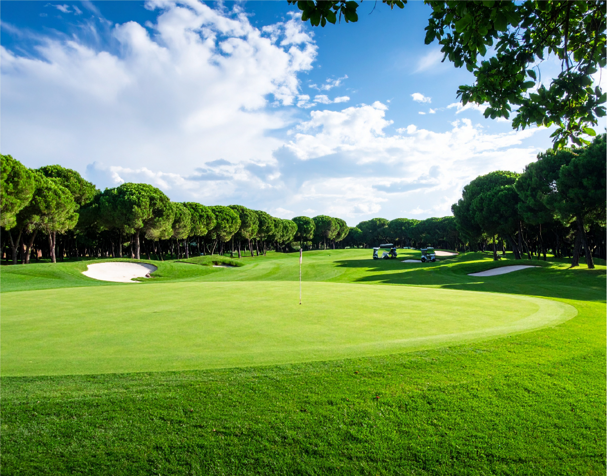 Clientes OnlyGolf